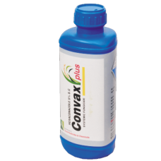 Convax Plus