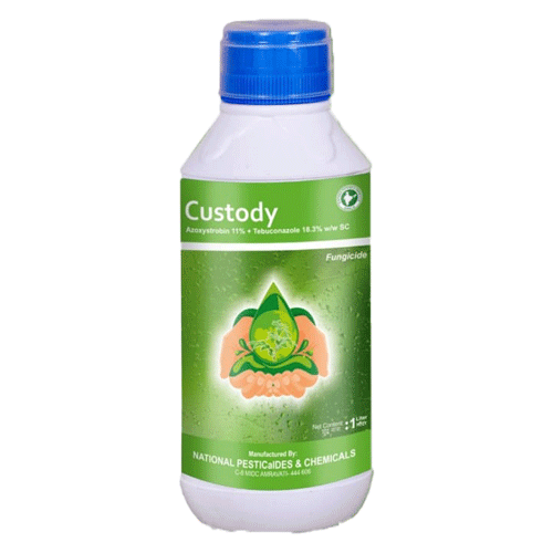 Custody